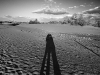 Dunes de Maspalomas